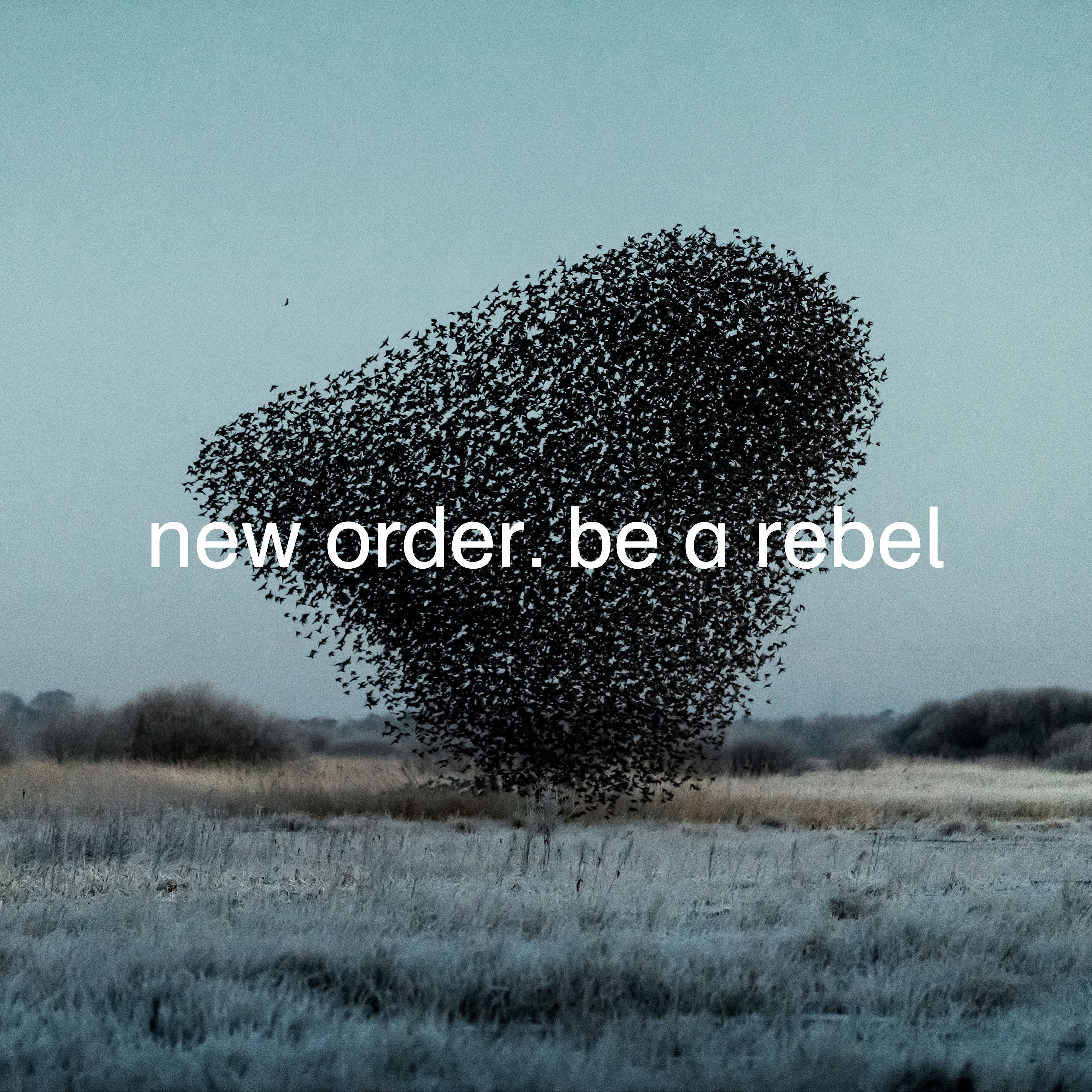 Be a Rebel New Order 12インチ 未開封 Be a Rebel (LP) – New Order