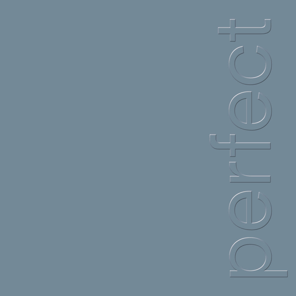 The Perfect Kiss (Black 12" Single)